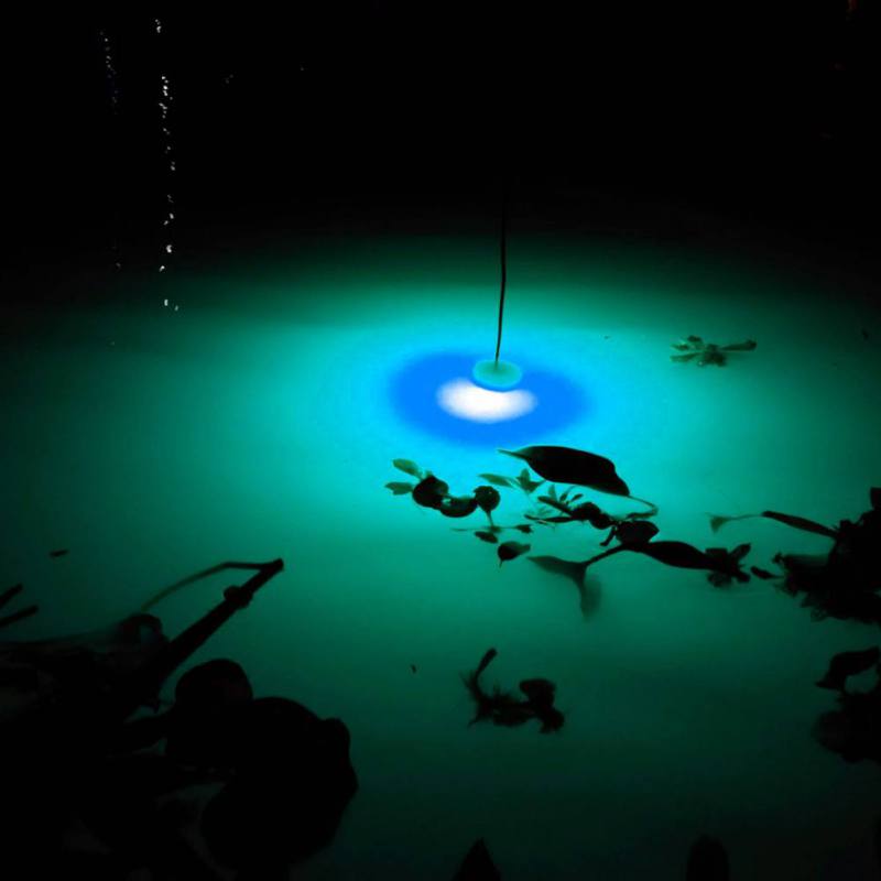 Mini Fishing Attraction Lamp G - огляд і ціна Fishing Boat Navigation Light