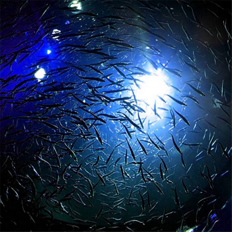 Mini Fishing Attraction Lamp G - огляд і ціна Fishing Boat Navigation Light